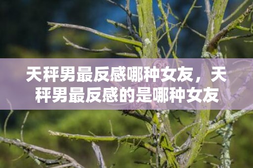 天秤男最反感哪种女友，天秤男最反感的是哪种女友