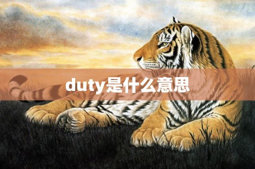 duty是什么意思