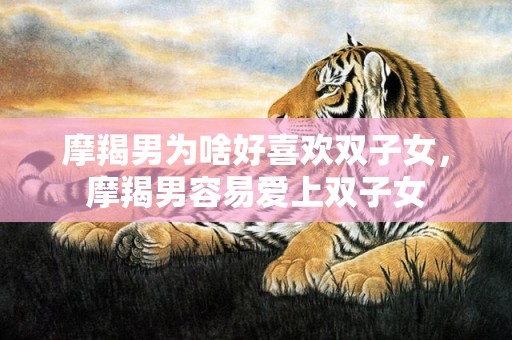 摩羯男为啥好喜欢双子女，摩羯男容易爱上双子女