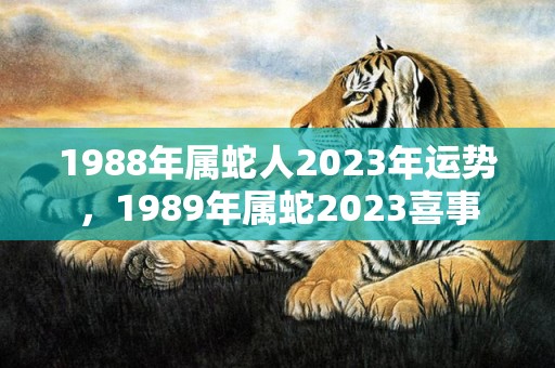 1988年属蛇人2023年运势，1989年属蛇2023喜事
