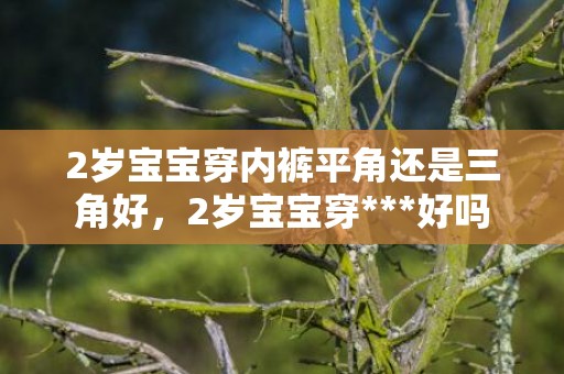 2岁宝宝穿内裤平角还是三角好，2岁宝宝穿***好吗