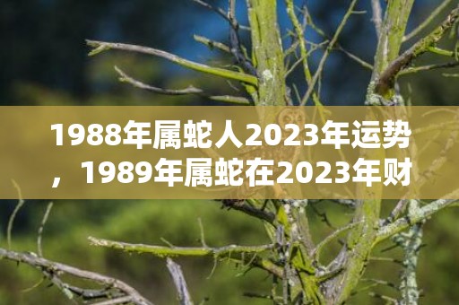 1988年属蛇人2023年运势，1989年属蛇在2023年财运