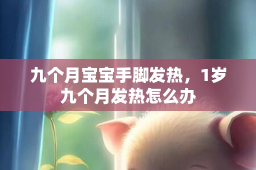 九个月宝宝手脚发热，1岁九个月发热怎么办