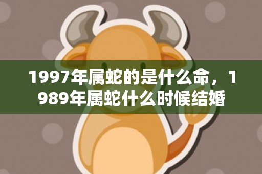 1997年属蛇的是什么命，1989年属蛇什么时候结婚