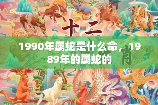 1990年属蛇是什么命，1989年的属蛇的