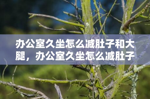 办公室久坐怎么减肚子和大腿，办公室久坐怎么减肚子上赘肉 办公室久坐怎么减肥