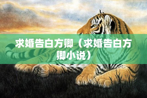 求婚告白方卿（求婚告白方卿小说）