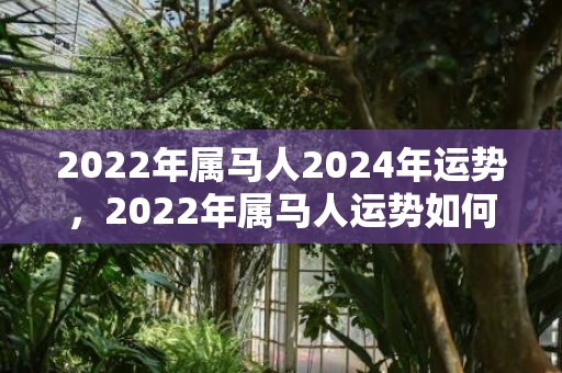 2022年属马人2024年运势，2022年属马人运势如何