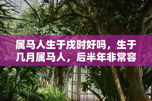 属马人生于戌时好吗，生于几月属马人，后半年非常容易获得眷顾，金玉满堂