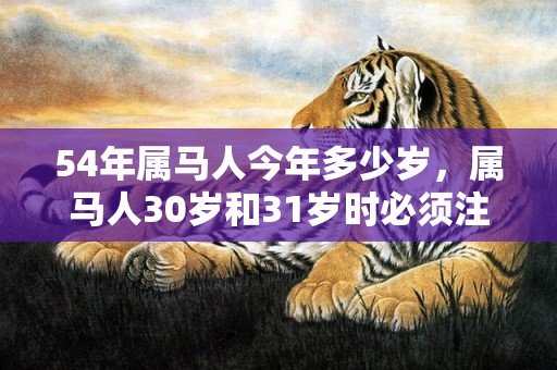 54年属马人今年多少岁，属马人30岁和31岁时必须注意什么，事业难点都是会得到解决