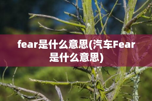 fear是什么意思(汽车Fear是什么意思)