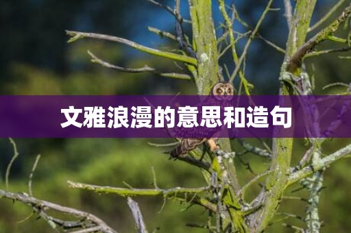 文雅浪漫的意思和造句