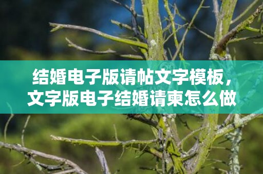 结婚电子版请帖文字模板，文字版电子结婚请柬怎么做