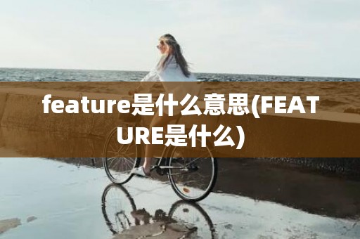 feature是什么意思(FEATURE是什么)