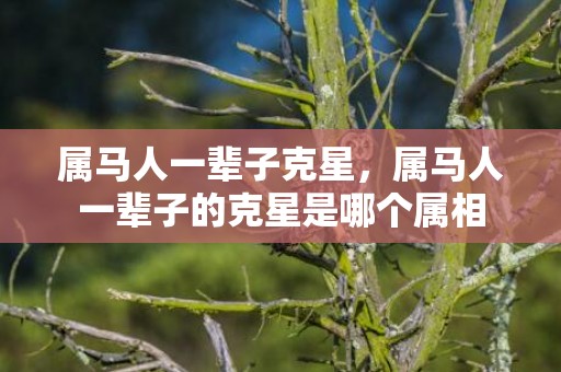 属马人一辈子克星，属马人一辈子的克星是哪个属相