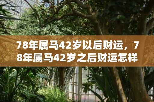 78年属马42岁以后财运，78年属马42岁之后财运怎样