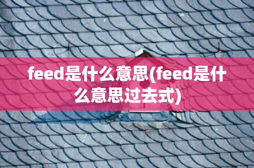 feed是什么意思(feed是什么意思过去式)