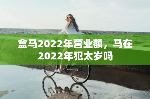 盒马2022年营业额，马在2022年犯太岁吗