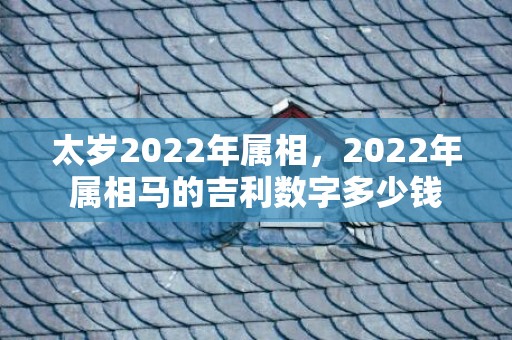 太岁2022年属相，2022年属相马的吉利数字多少钱