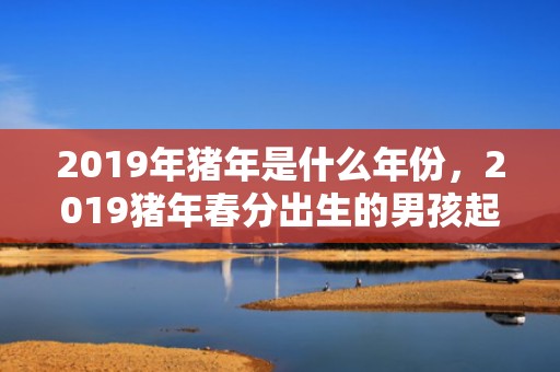 2019年猪年是什么年份，2019猪年春分出生的男孩起什么名字寓意好