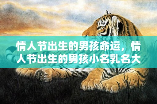 情人节出生的男孩命运，情人节出生的男孩小名乳名大全