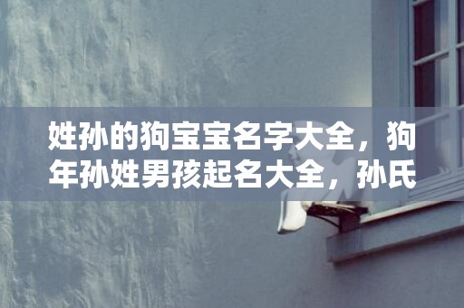 姓孙的狗宝宝名字大全，狗年孙姓男孩起名大全，孙氏名字推荐2018