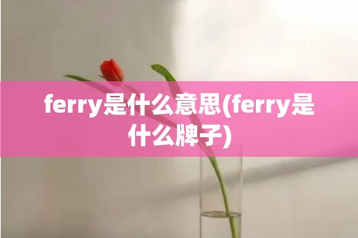 ferry是什么意思(ferry是什么牌子)
