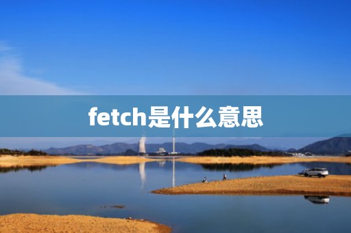 fetch是什么意思