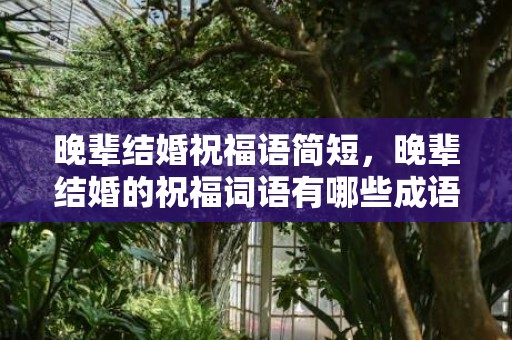 晚辈结婚祝福语简短，晚辈结婚的祝福词语有哪些成语