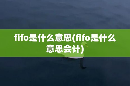 fifo是什么意思(fifo是什么意思会计)