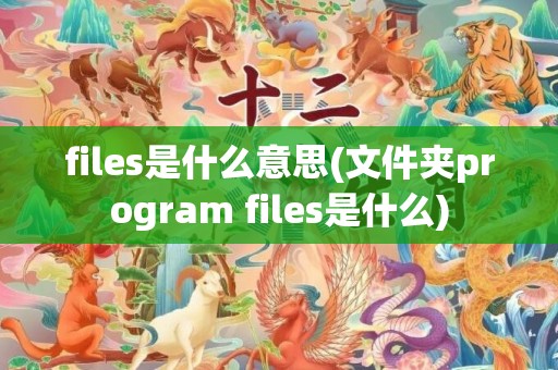 files是什么意思(文件夹program files是什么)