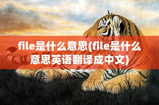 file是什么意思(file是什么意思英语翻译成中文)