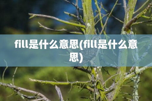 fill是什么意思(fill是什么意思)