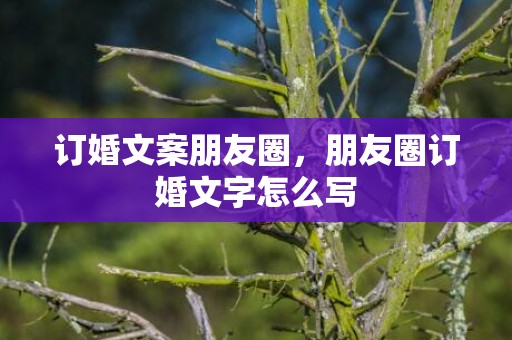 订婚文案朋友圈，朋友圈订婚文字怎么写