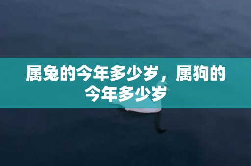 属兔的今年多少岁，属狗的今年多少岁