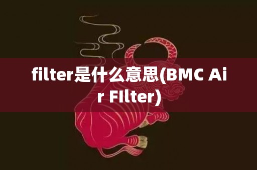 filter是什么意思(BMC Air FIlter)