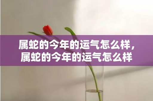 属蛇的今年的运气怎么样，属蛇的今年的运气怎么样
