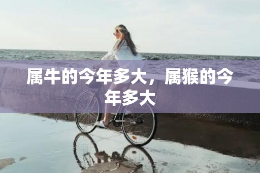 属牛的今年多大，属猴的今年多大