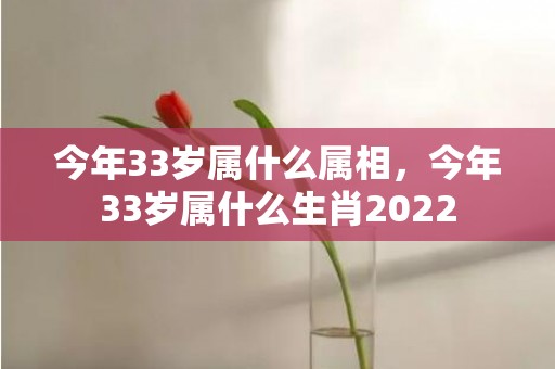 今年33岁属什么属相，今年33岁属什么生肖2022