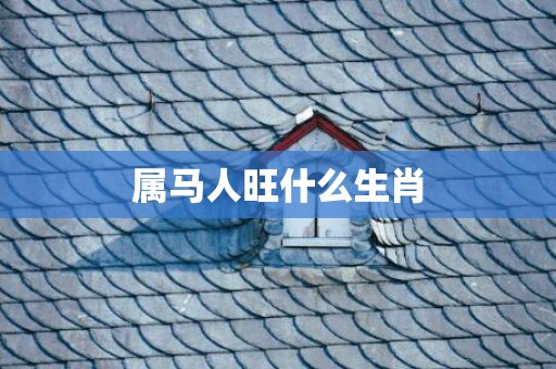 属马人旺什么生肖
