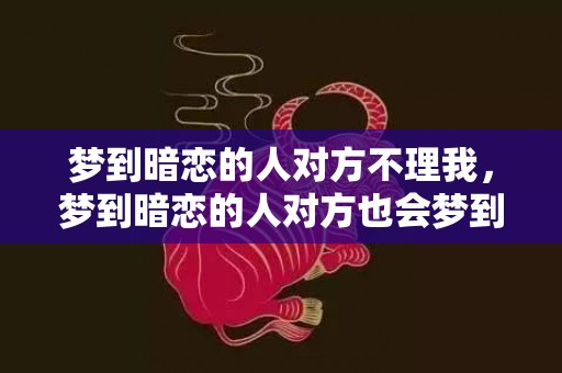 梦到暗恋的人对方不理我，梦到暗恋的人对方也会梦到我吗