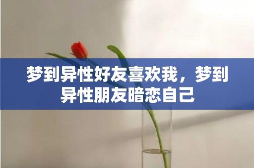梦到异性好友喜欢我，梦到异性朋友暗恋自己