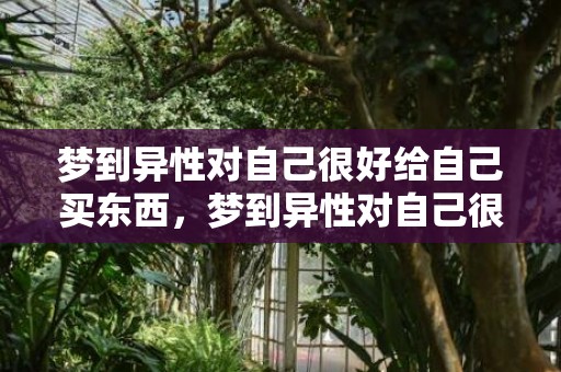 梦到异性对自己很好给自己买东西，梦到异性对自己很好周公解梦