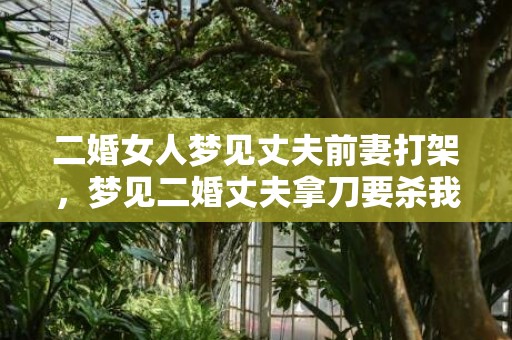 二婚女人梦见丈夫前妻打架，梦见二婚丈夫拿刀要杀我了什么意思