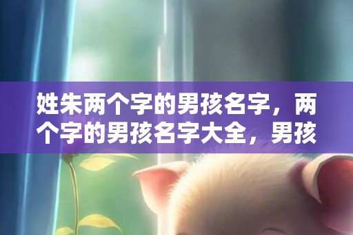 姓朱两个字的男孩名字，两个字的男孩名字大全，男孩取名推荐
