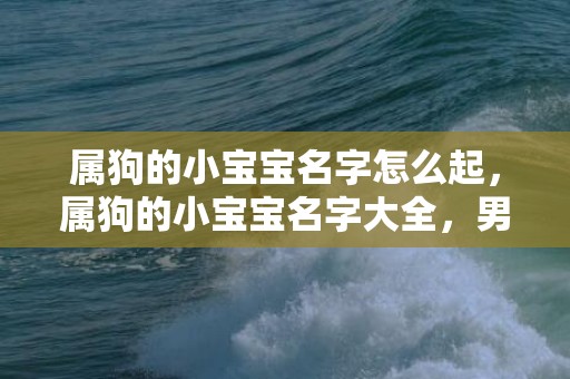 属狗的小宝宝名字怎么起，属狗的小宝宝名字大全，男孩名字推荐