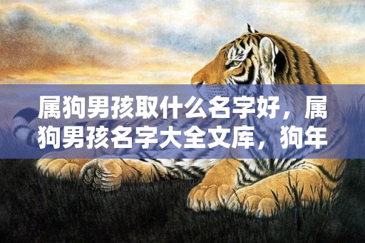 属狗男孩取什么名字好，属狗男孩名字大全文库，狗年出生宝宝名字