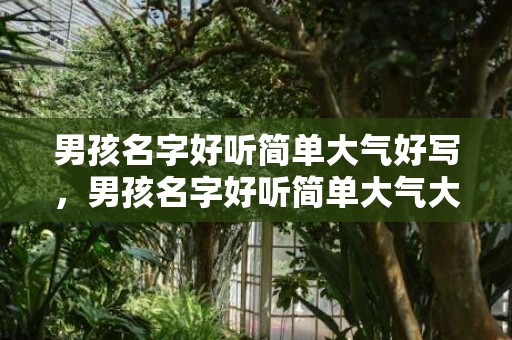 男孩名字好听简单大气好写，男孩名字好听简单大气大全!帅气的男孩名