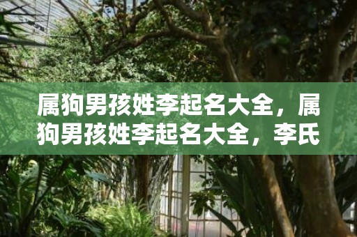 属狗男孩姓李起名大全，属狗男孩姓李起名大全，李氏好听的男孩名
