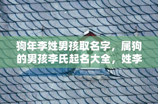 狗年李姓男孩取名字，属狗的男孩李氏起名大全，姓李霸气的男孩名